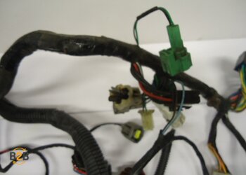 kabelboom, kabelboom hoofd