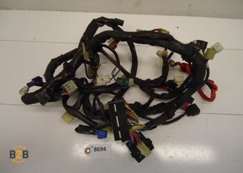 kabelboom, kabelboom hoofd