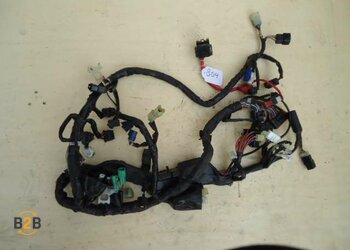 kabelboom, kabelboom hoofd