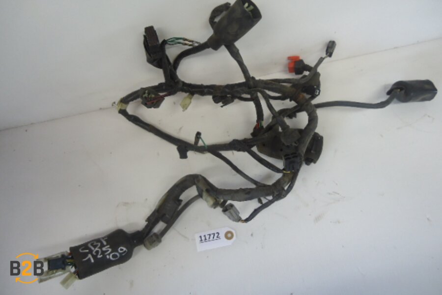 kabelboom, kabelboom hoofd