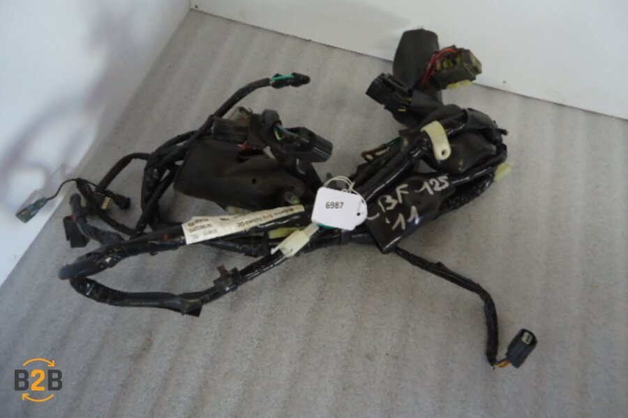 kabelboom, kabelboom hoofd