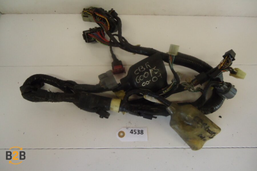 kabelboom, kabelboom hoofd