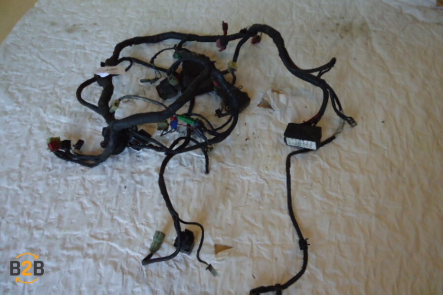 kabelboom, kabelboom hoofd