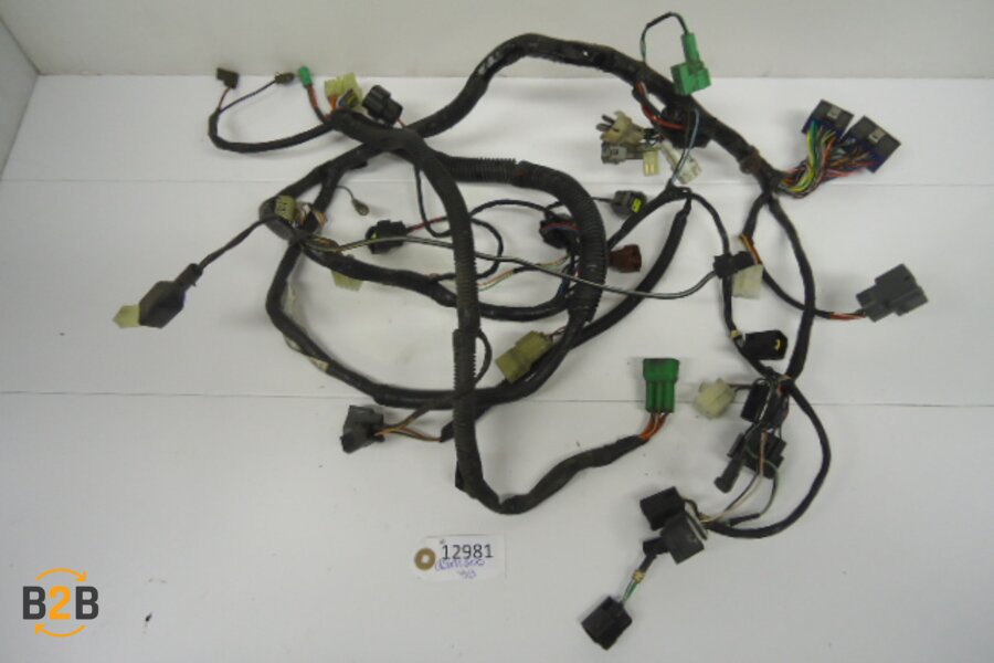 kabelboom, kabelboom hoofd