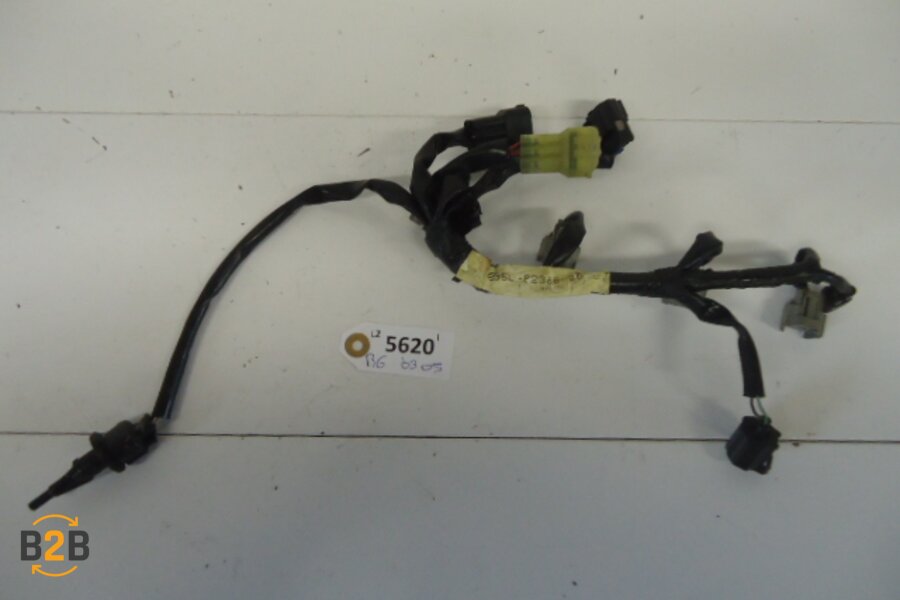 kabelboom, kabelboom injector