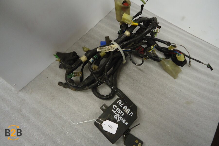 kabelboom, kabelboom hoofd