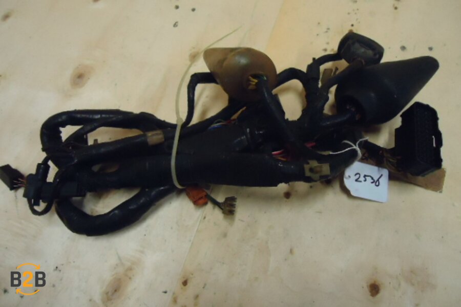 kabelboom, kabelboom hoofd