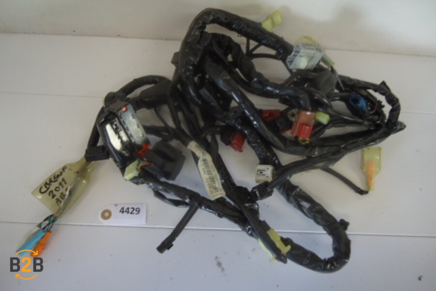 kabelboom, kabelboom hoofd