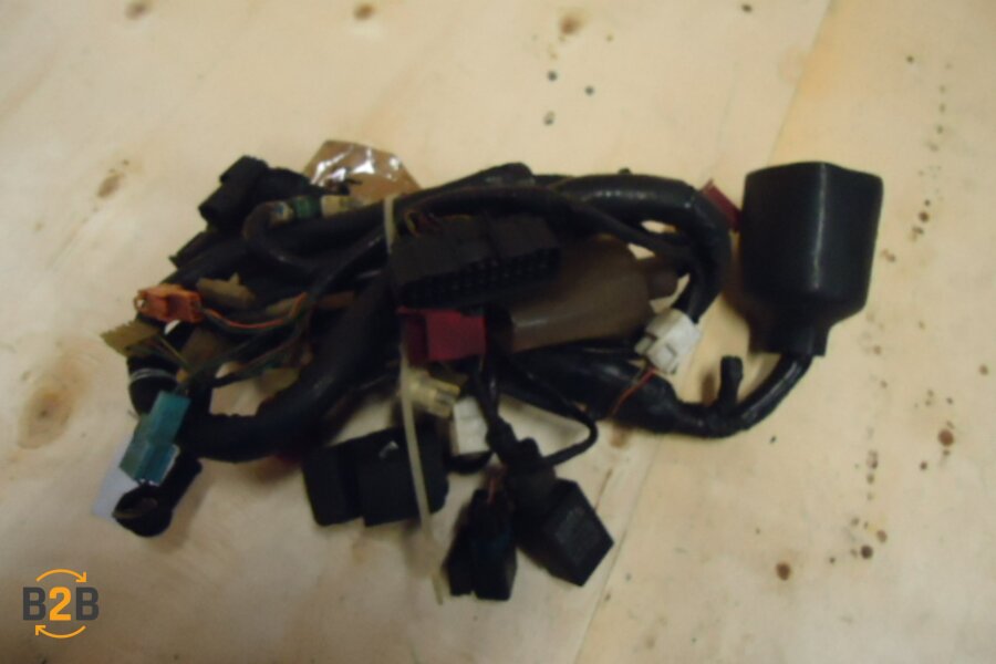 kabelboom, kabelboom hoofd