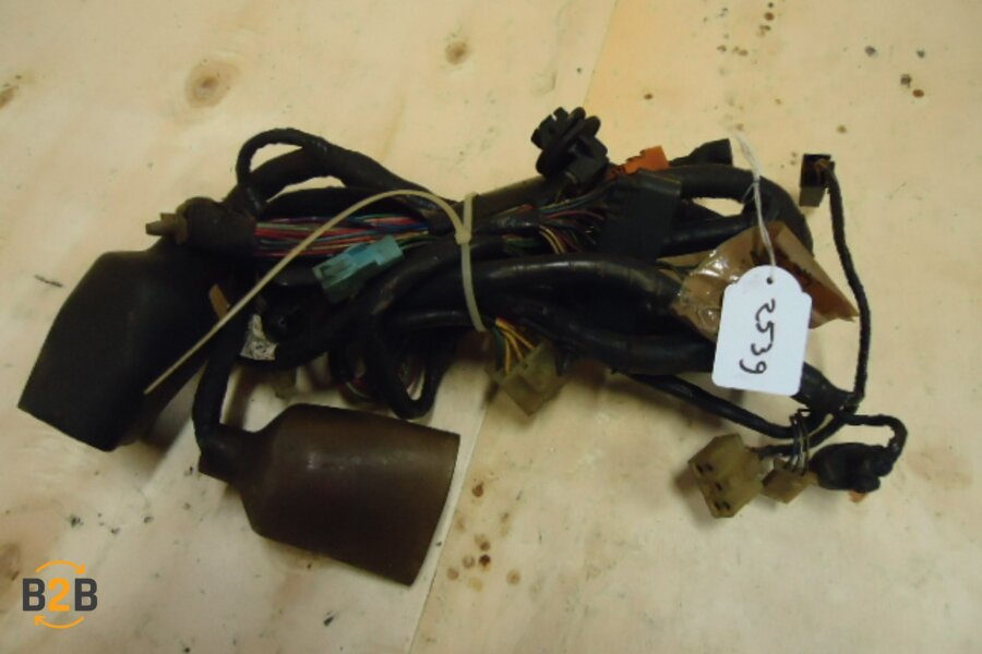 kabelboom, kabelboom hoofd