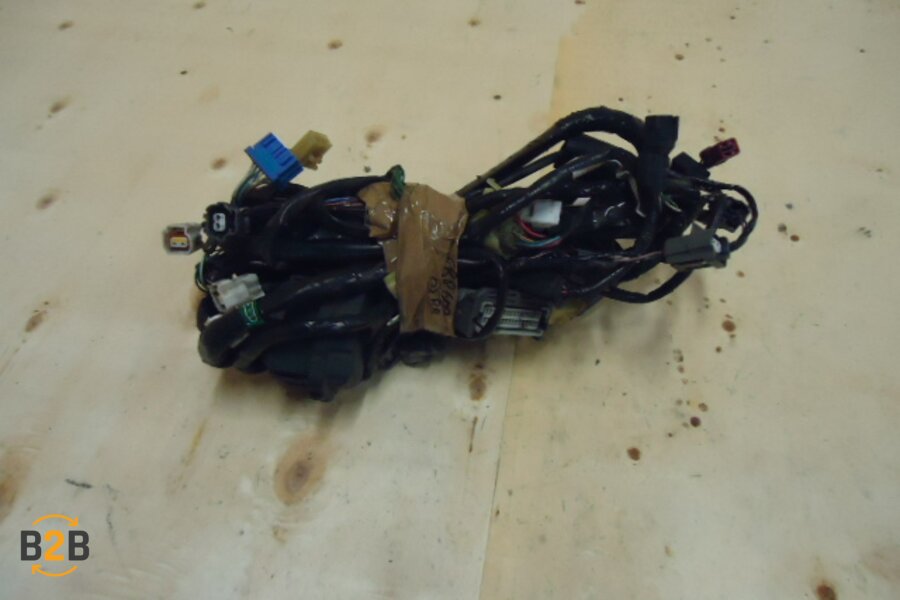 kabelboom, kabelboom hoofd