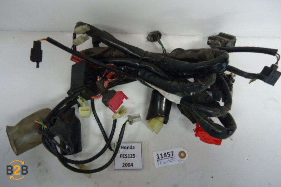 kabelboom, kabelboom hoofd