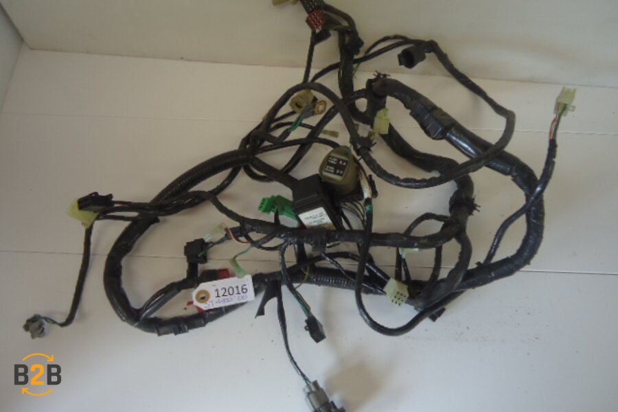 kabelboom, kabelboom hoofd