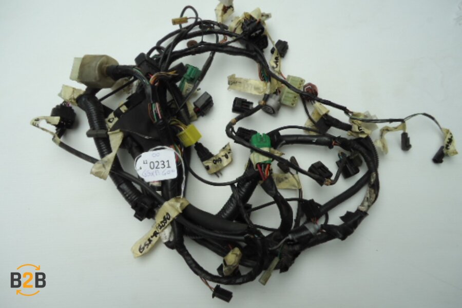 kabelboom, kabelboom hoofd