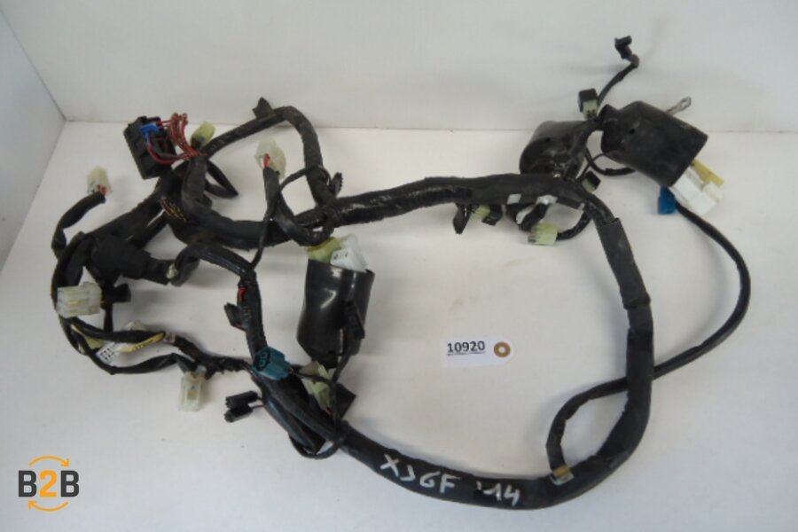 kabelboom, kabelboom hoofd