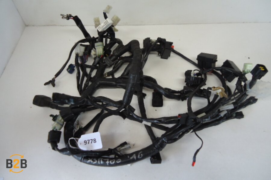 kabelboom, kabelboom hoofd