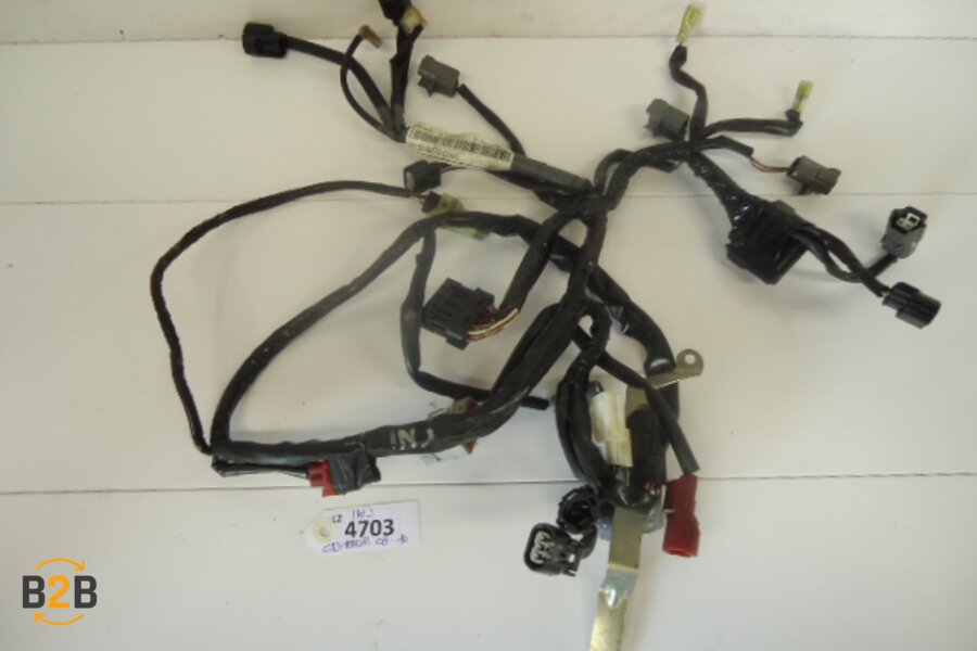 kabelboom, kabelboom injector