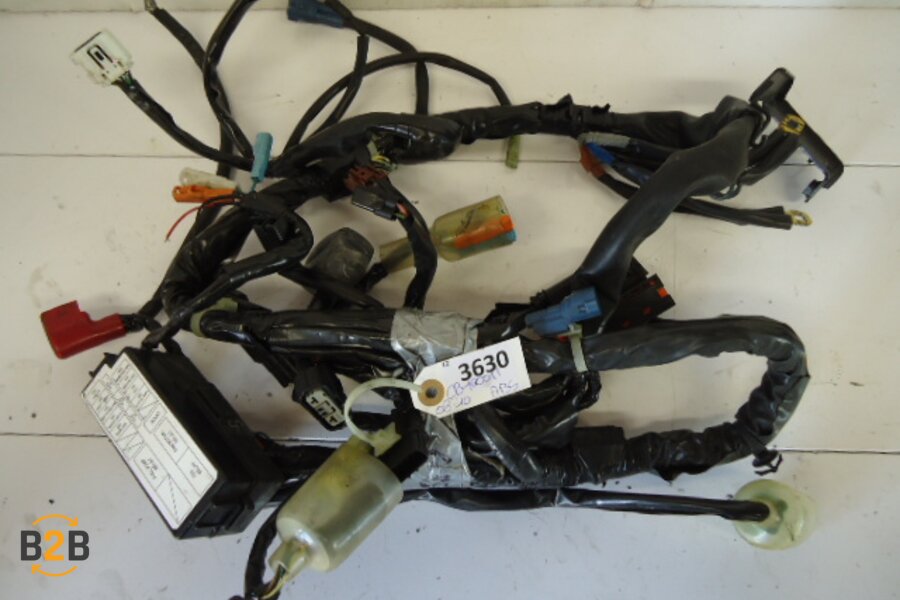 kabelboom, kabelboom hoofd