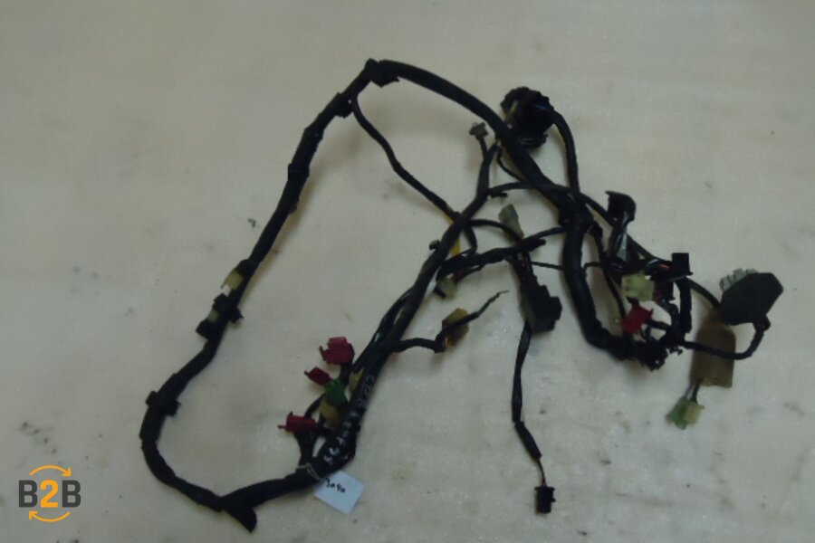 kabelboom, kabelboom hoofd