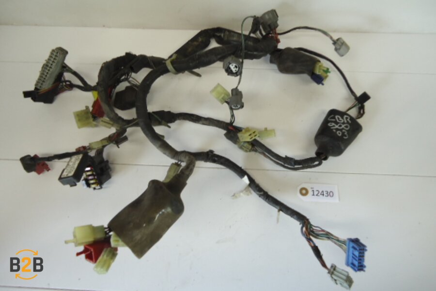 kabelboom, kabelboom hoofd