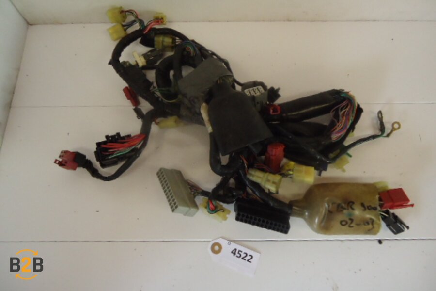 kabelboom, kabelboom hoofd