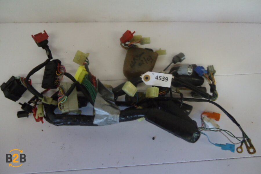 kabelboom, kabelboom hoofd