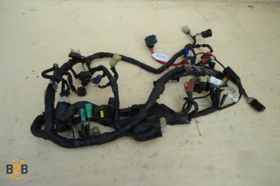 kabelboom, kabelboom hoofd