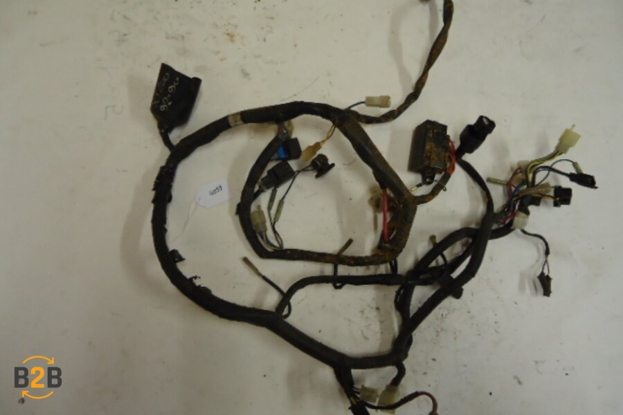 kabelboom, kabelboom hoofd